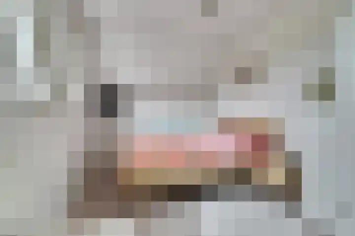 Boeckhorststraat 21 Terborg thumbnail 18