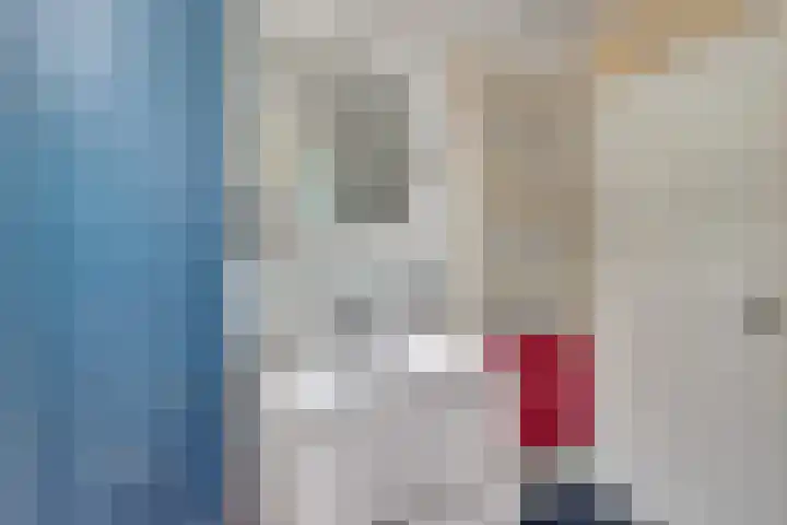 Boeckhorststraat 21 Terborg thumbnail 22