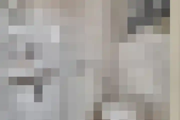 Boeckhorststraat 21 Terborg thumbnail 24