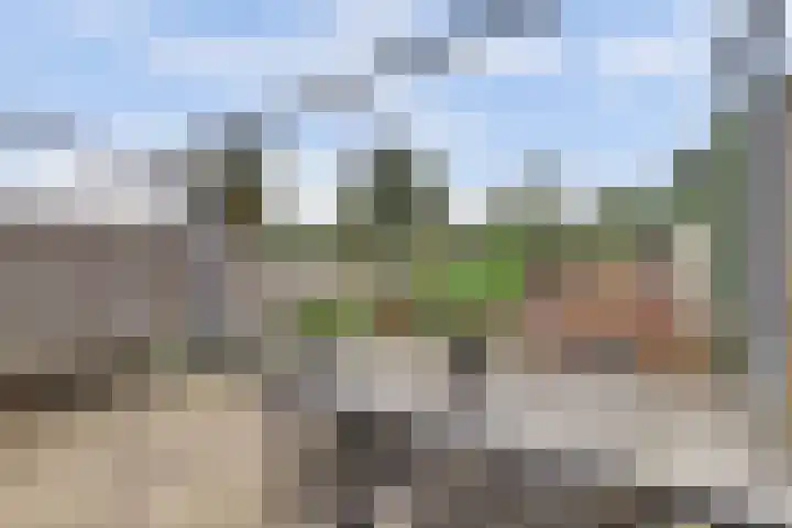 Boeckhorststraat 21 Terborg thumbnail 25