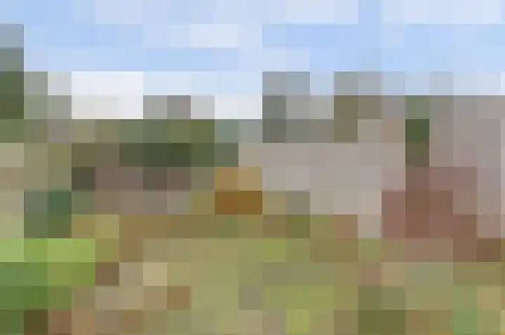 Boeckhorststraat 21 Terborg thumbnail 29