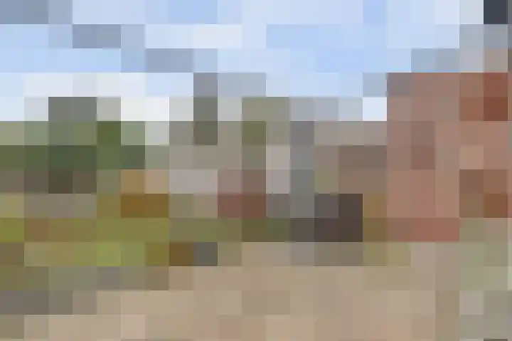 Boeckhorststraat 21 Terborg thumbnail 30