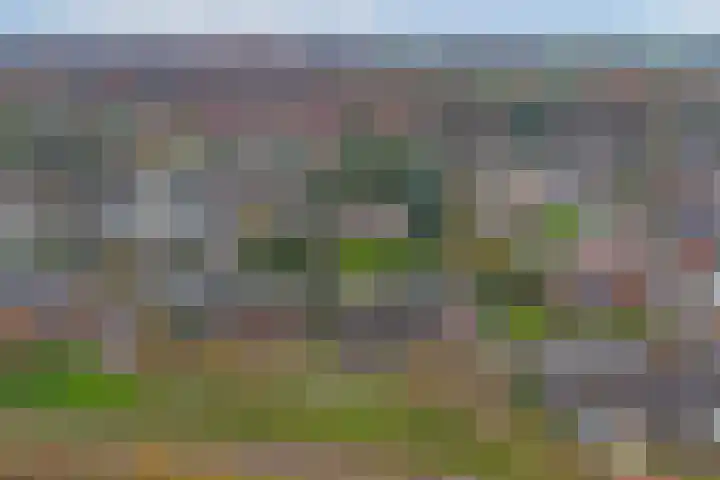 Boeckhorststraat 21 Terborg thumbnail 32