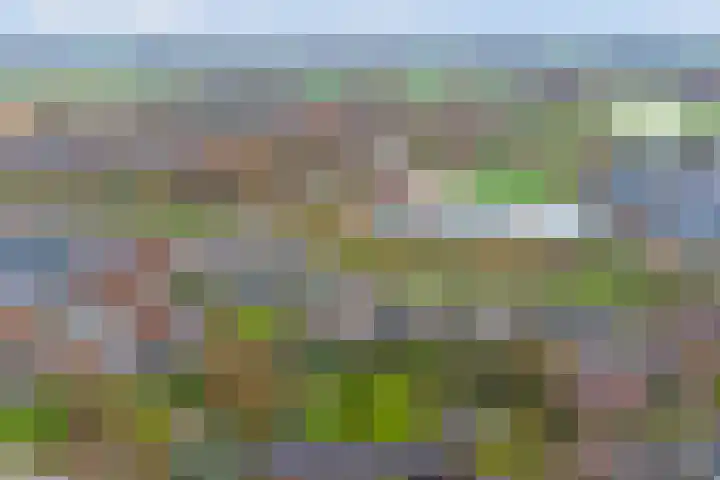 Boeckhorststraat 21 Terborg thumbnail 33