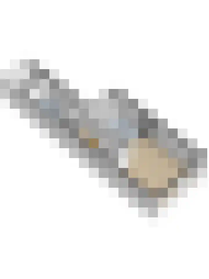 Boeckhorststraat 21 Terborg thumbnail 35