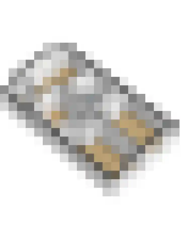 Boeckhorststraat 21 Terborg thumbnail 37