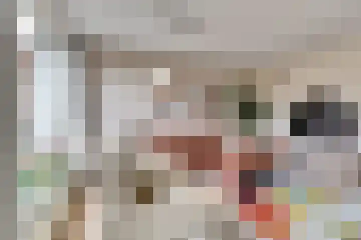 Boeckhorststraat 21 Terborg thumbnail 5