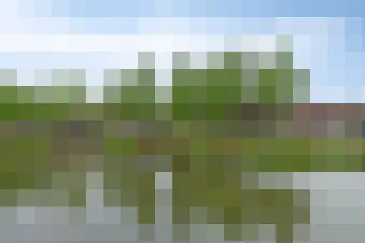 Boedapestlaan 102 IJsselstein thumbnail 5