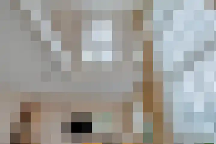 Boedapestlaan 102 IJsselstein thumbnail 9