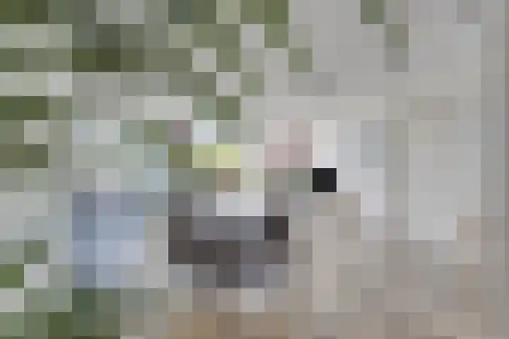 Boedapestlaan 15 IJsselstein thumbnail 10