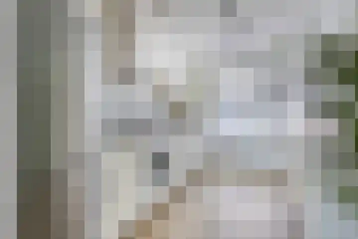 Boedapestlaan 15 IJsselstein thumbnail 12
