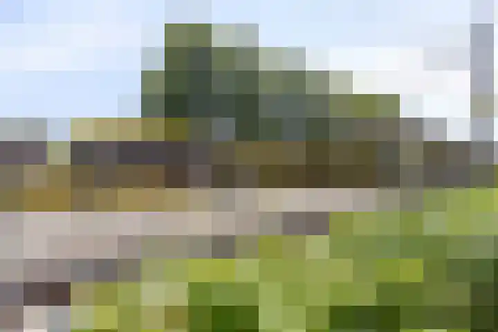 Boedapestlaan 15 IJsselstein thumbnail 33