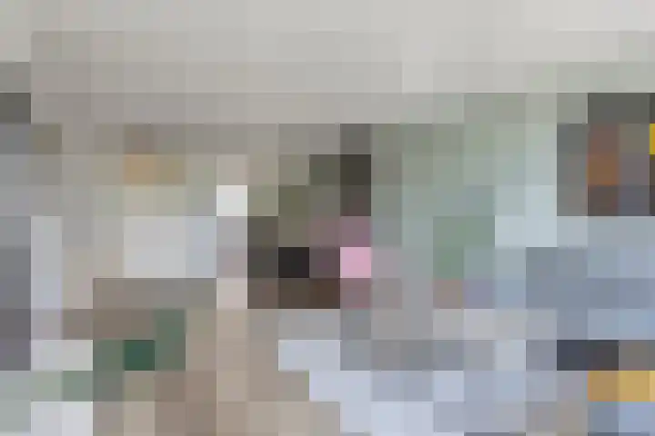 Boedapestlaan 15 IJsselstein thumbnail 9