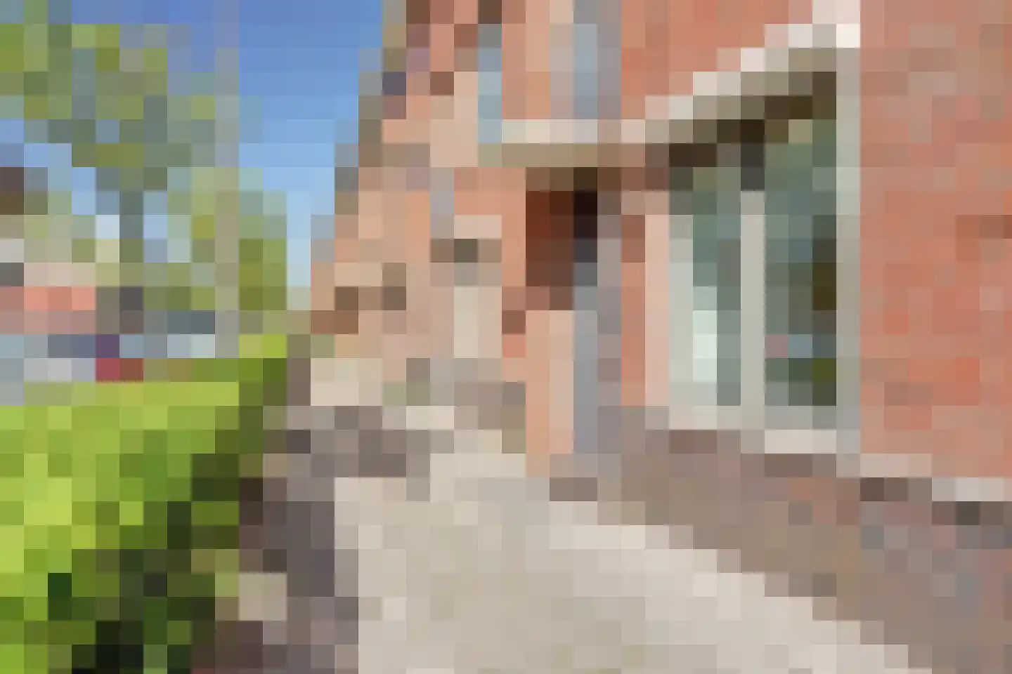 Boedapestlaan 6 IJsselstein thumbnail 6