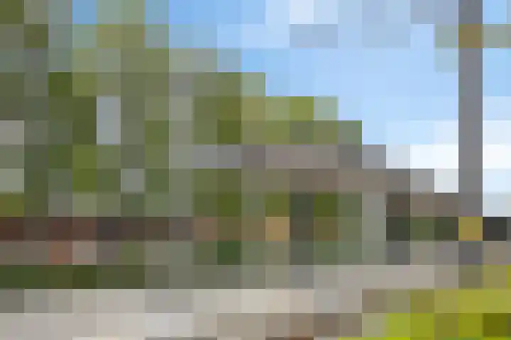 Boedapestlaan 62 IJsselstein thumbnail 30