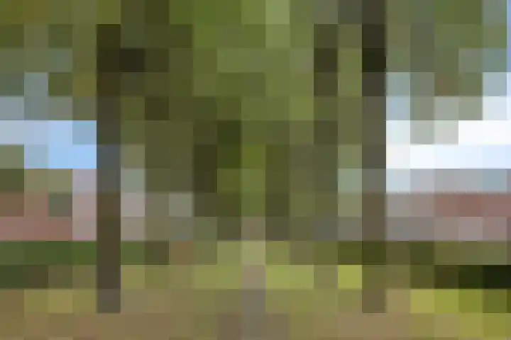 Boedapestlaan 62 IJsselstein thumbnail 31
