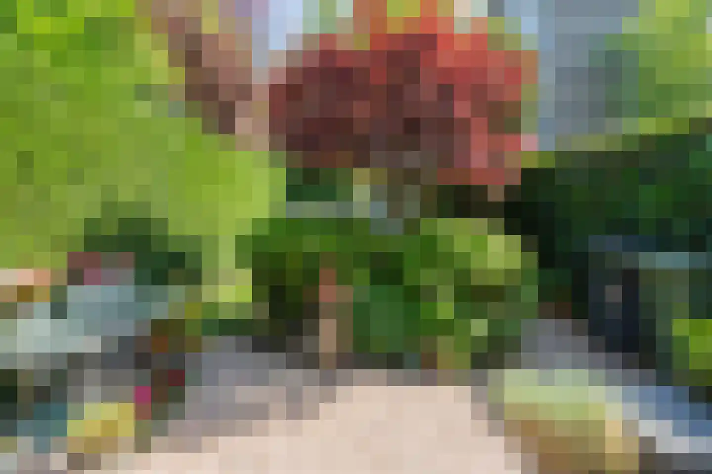 Boedapeststraat 27 Haarlem thumbnail 11