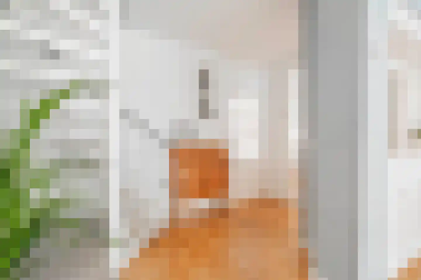 Boedapeststraat 27 Haarlem thumbnail 17
