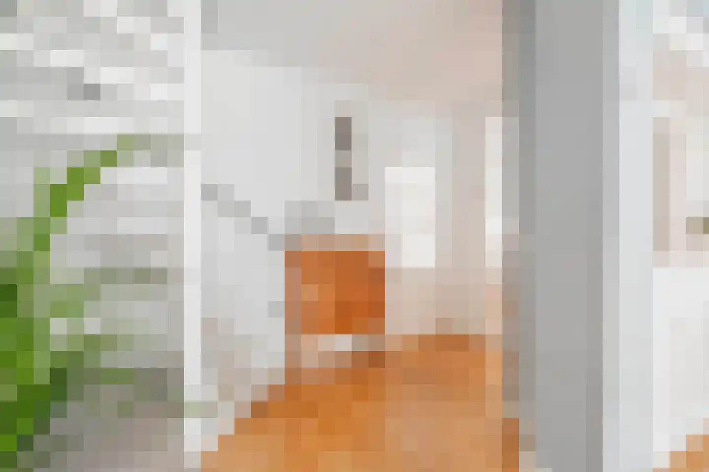 Boedapeststraat 27 Haarlem thumbnail 17