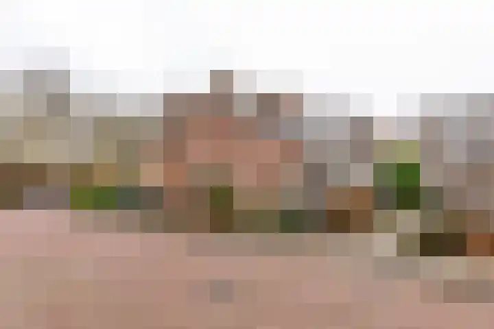 Boedapeststraat 36 Haarlem thumbnail 31