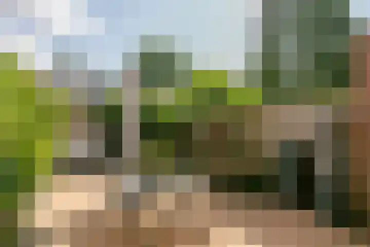 Boedelhof 11 Ede thumbnail 19