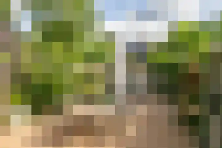 Boedelhof 11 Ede thumbnail 20