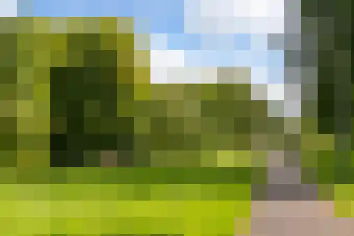 Boedelhof 11 Ede thumbnail 23
