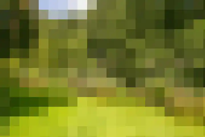 Boedelhof 11 Ede thumbnail 24