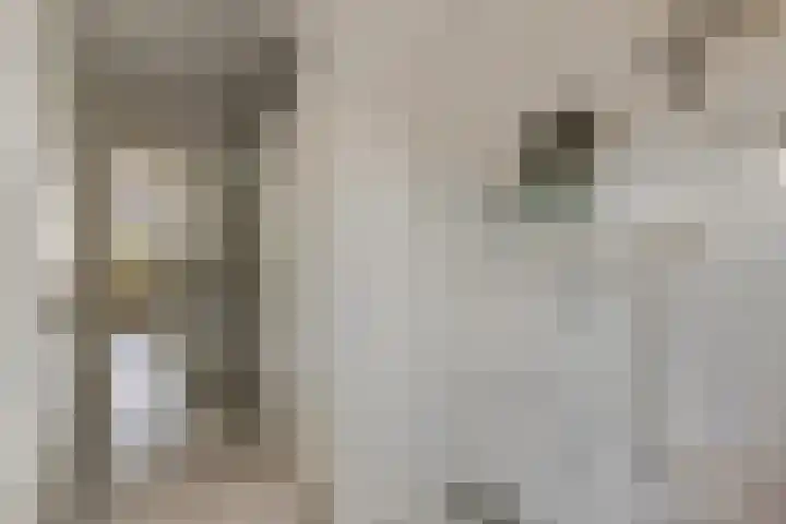 Boedelhof 16 Ede thumbnail 10