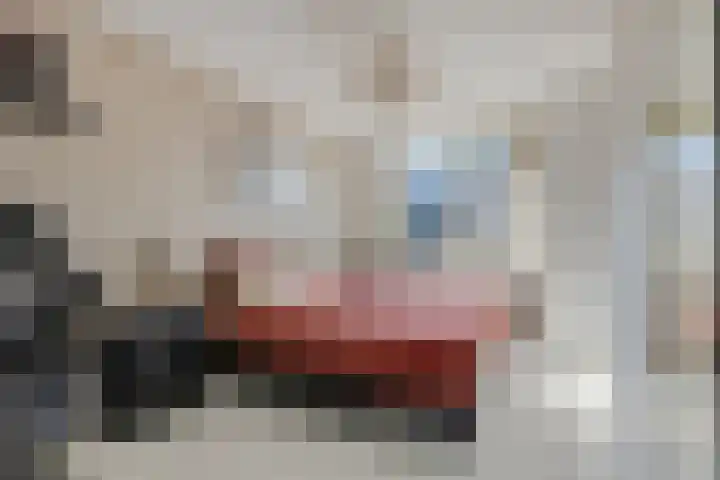 Boedelhof 16 Ede thumbnail 12