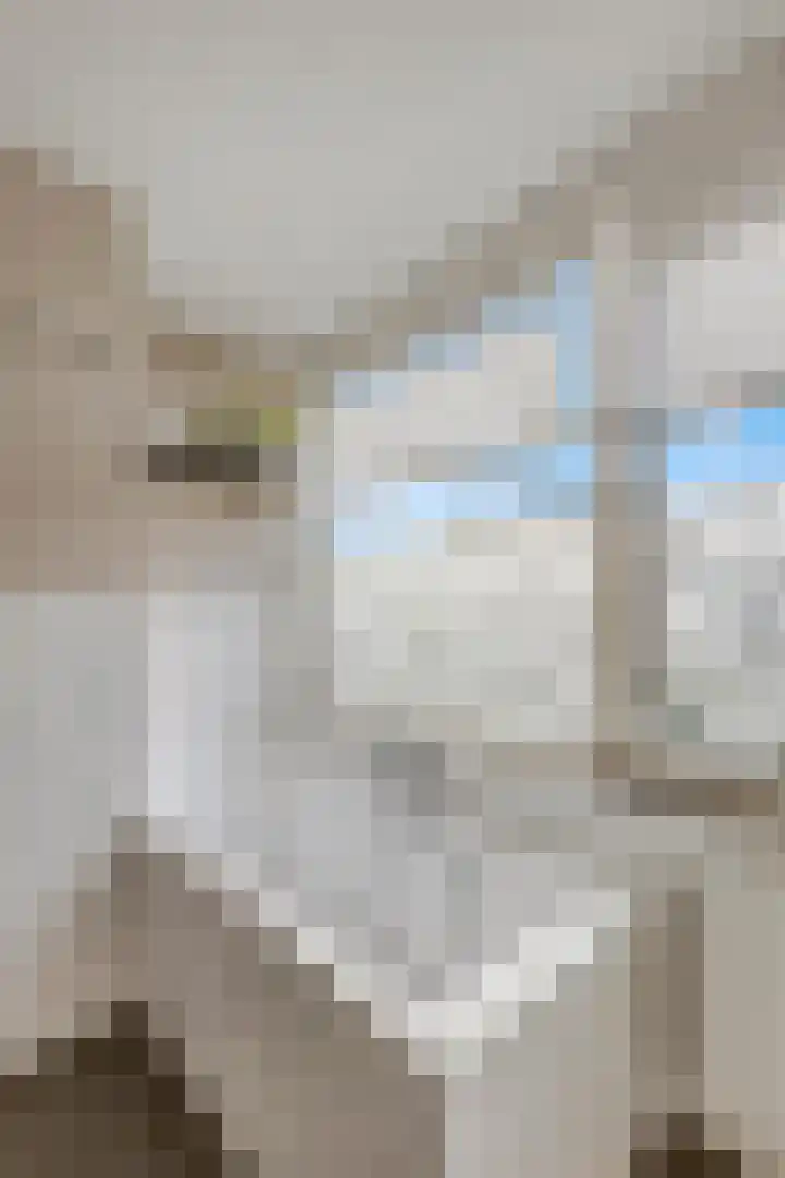 Boedelhof 16 Ede thumbnail 17
