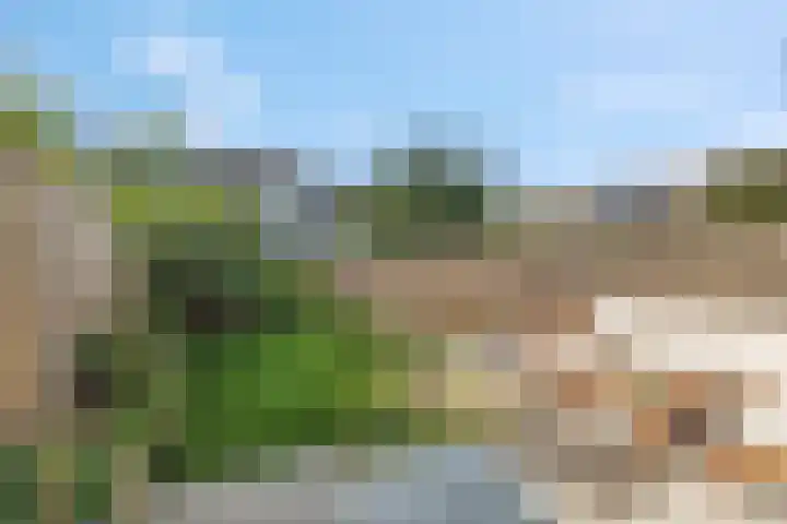 Boedelhof 16 Ede thumbnail 25