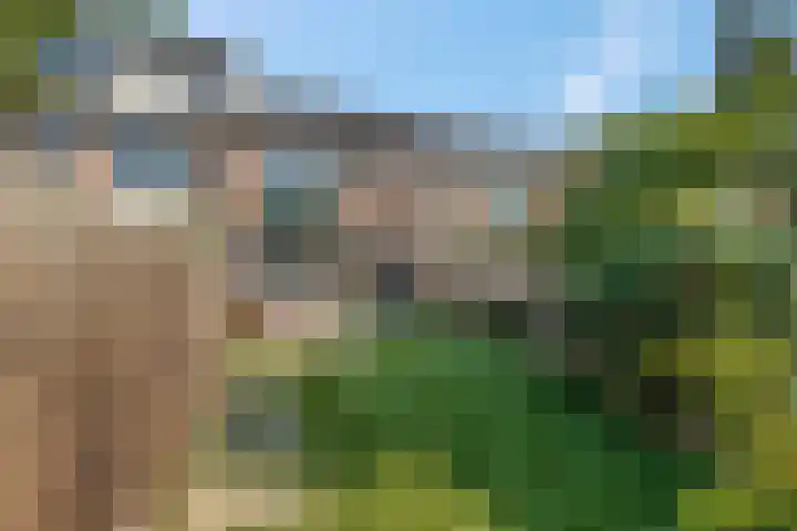 Boedelhof 16 Ede thumbnail 27