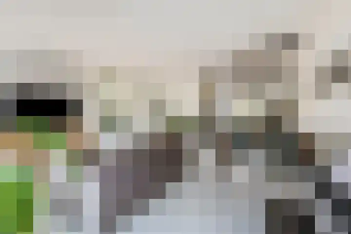 Boedelhof 16 Ede thumbnail 4