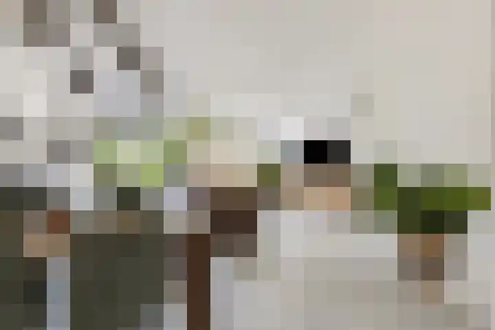 Boedelhof 16 Ede thumbnail 5