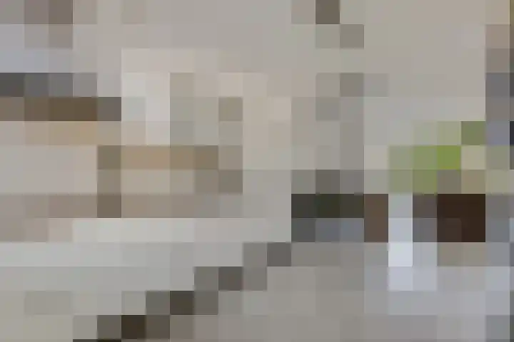 Boedelhof 16 Ede thumbnail 8