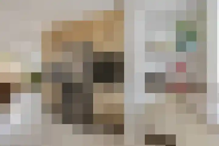 Boedelhof 16 Ede thumbnail 9