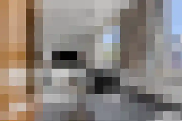 Boedelhof 28 Ede thumbnail 14