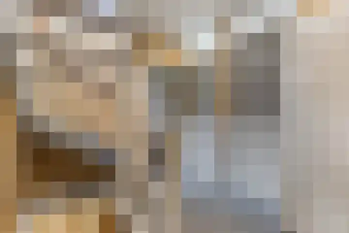 Boedelhof 28 Ede thumbnail 17