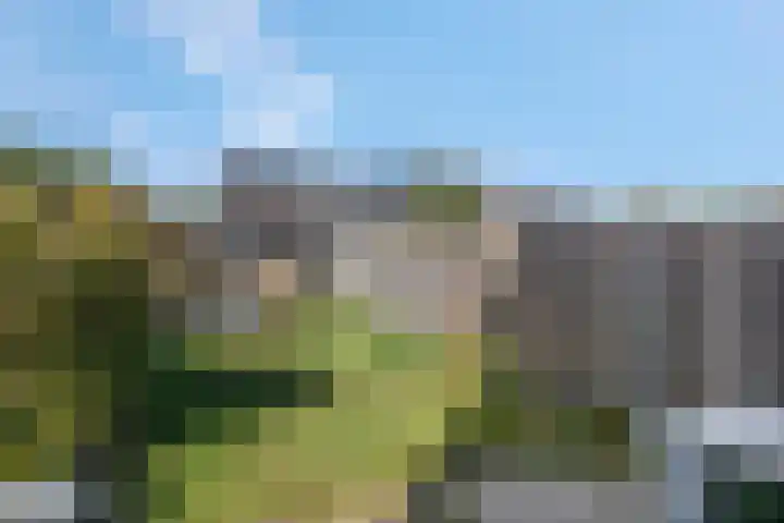 Boedelhof 28 Ede thumbnail 21