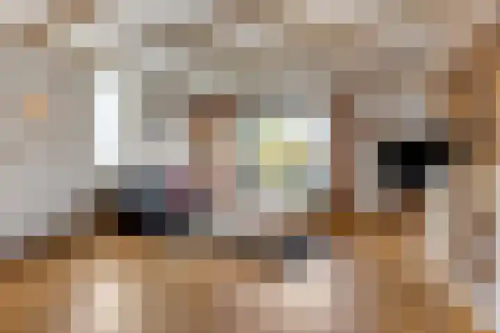 Boedelhof 28 Ede thumbnail 4