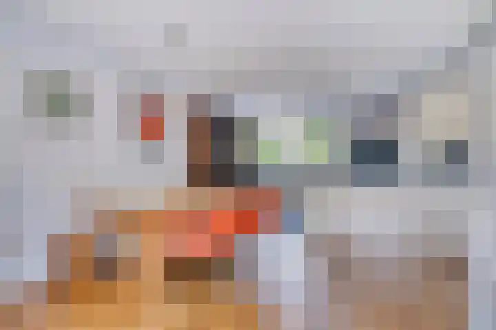 Boedelhofweg 66 Eefde thumbnail 6