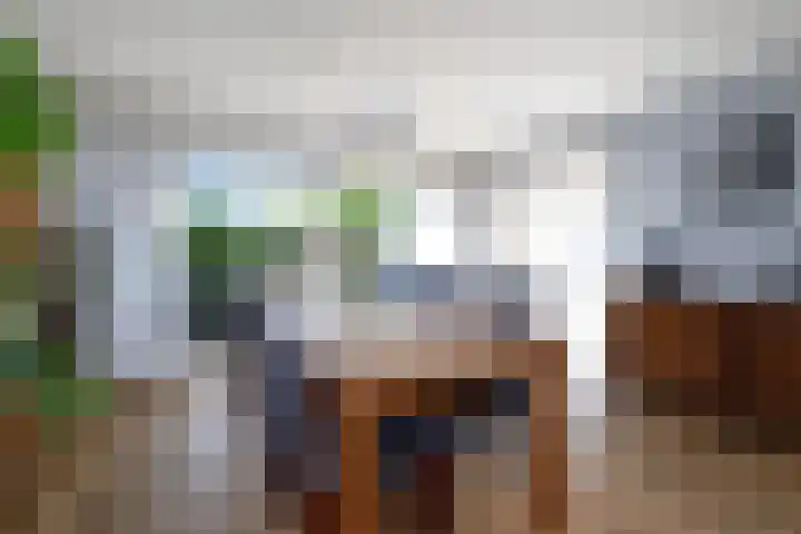 Boedijnhof 10 Hoorn thumbnail 13