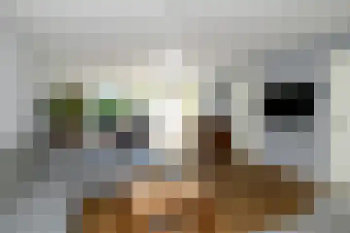 Boedijnhof 10 Hoorn thumbnail 18