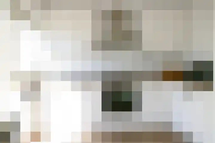 Boedijnhof 10 Hoorn thumbnail 21