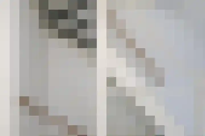 Boedijnhof 10 Hoorn thumbnail 26