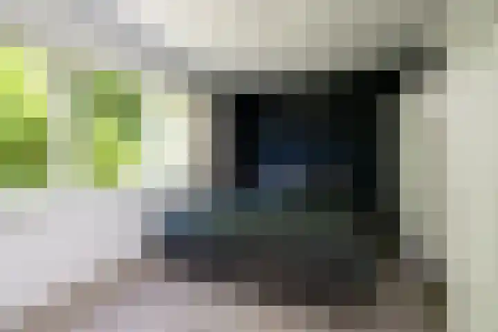 Boedijnhof 10 Hoorn thumbnail 35