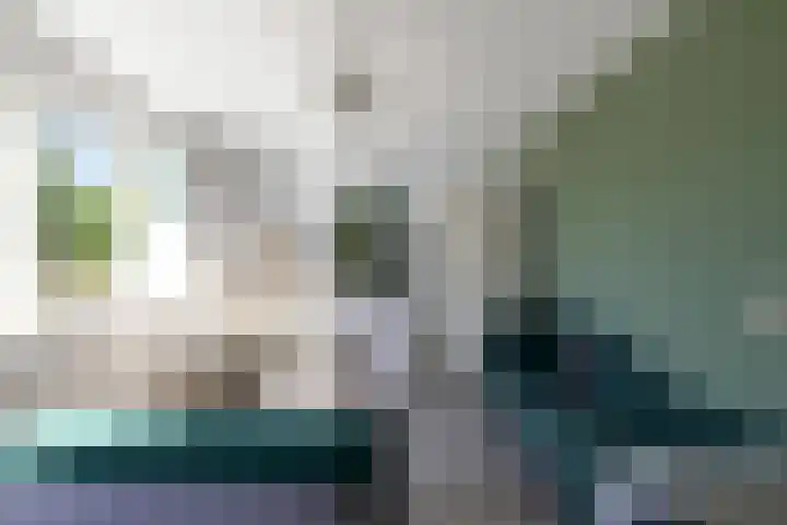 Boedijnhof 10 Hoorn thumbnail 39