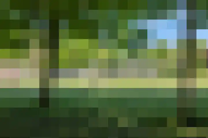 Boedijnhof 10 Hoorn thumbnail 5