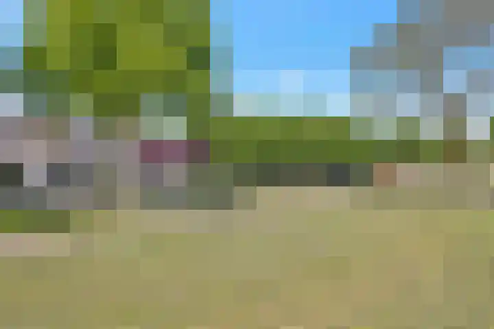 Boedijnhof 10 Hoorn thumbnail 53